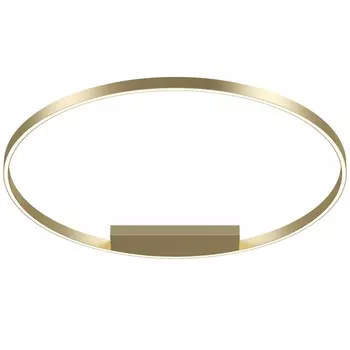 Потолочный светильник светодиодный Maytoni Rim MOD058CL-L65BS4K