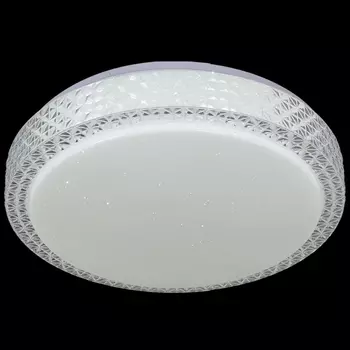 Потолочный светильник светодиодный с пультом Reluce 97196-9.2-120WL