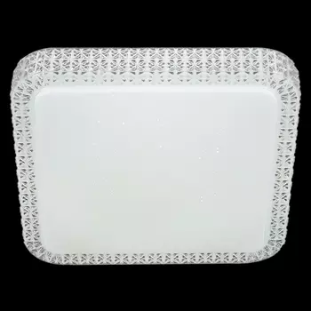 Потолочный светильник светодиодный с пультом Reluce 07197-9.2-48WM