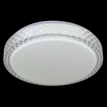 Потолочный светильник светодиодный с пультом Reluce 97196-9.2-48WM