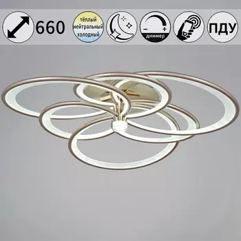 Потолочный светильник светодиодный с пультом и ночным режимом Reluce 09246-0.3-3+3 Champaign silver (Умный дом)