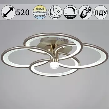 Потолочный светильник светодиодный с пультом и ночным режимом Reluce 09246-0.3-4S Champaign silver (Умный дом)