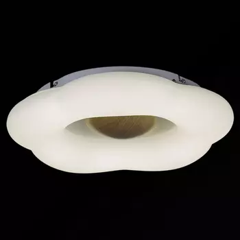 Потолочный светильник светодиодный с пультом Reluce 01014-0.3-01 WOOD