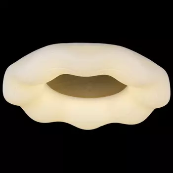 Потолочный светильник светодиодный с пультом Reluce 01029-0.3-01 WOOD