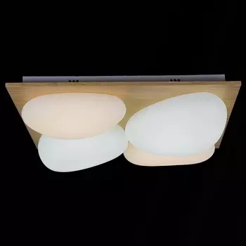 Потолочный светильник светодиодный с пультом регулировкой цветовой температуры и яркости Reluce 10010-0.3-80W AEROLITE