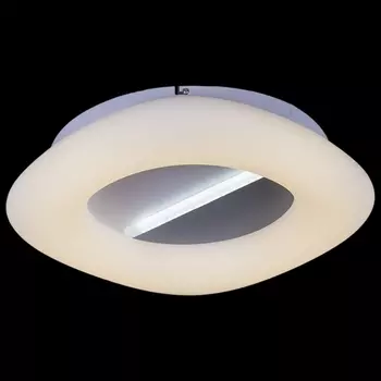 Потолочный светильник светодиодный с пультом Reluce 01031-0.3-01