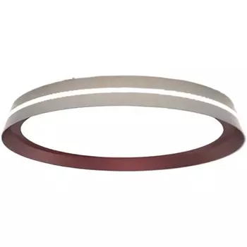 Потолочный светильник светодиодный с пультом и регулировкой цветовой температуры Mizi'en Titan MZ31502-430