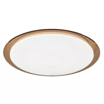 Потолочный светильник круглый светодиодный с пультом SPB-6-70-RC Saturn (B) ЭРА Классик ДУ Saturn (B)