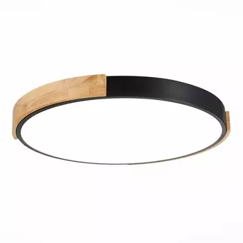 Потолочный светильник светодиодный с регулировкой цветовой температуры Delia SLE201342-01 (Evoluce)