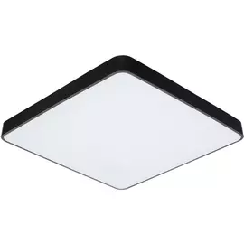 Потолочный светильник светодиодный Arte Lamp Scena A2687PL-45BK