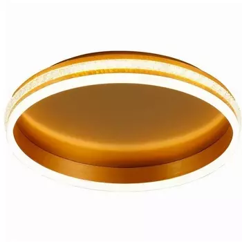 Потолочный светильник светодиодный Shinning Feron ring 41694