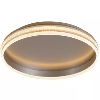 Потолочный светильник светодиодный Shinning Feron ring 41695