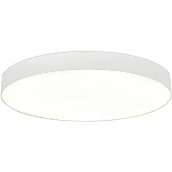 Потолочный светильник круглый светодиодный ST Luce ST601.542.18 Белый LED 1*18W