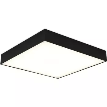 Потолочный светильник светодиодный ST Luce ST608.442.48 Черный LED 1*48W