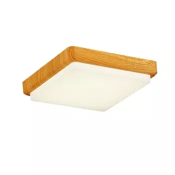 Потолочный светильник светодиодный Evoluce Taddio SLE200202-01