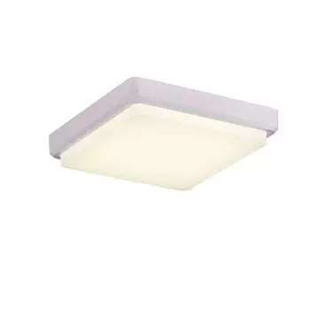 Потолочный светильник светодиодный Evoluce Taddio SLE200212-01