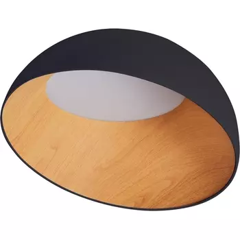 Потолочный светильник круглый IP21 светодиодный Zortes Baum ZRS.01243.07