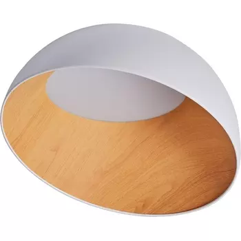 Потолочный светильник светодиодный Zortes Baum ZRS.01201.20