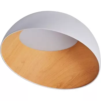 Потолочный светильник круглый IP21 светодиодный Zortes Baum ZRS.01201.19