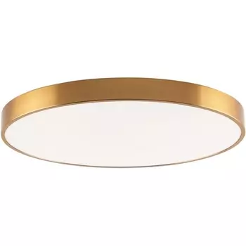 Потолочный светильник круглый IP21 светодиодный Zortes Tortty ZRS.02566.96