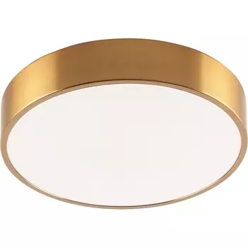 Потолочный светильник светодиодный Zortes Tortty ZRS.02566.48