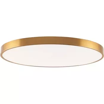 Потолочный светильник круглый IP21 светодиодный Zortes Tortty ZRS.02566.120