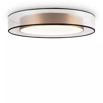 Потолочный светильник круглый светодиодный Freya Zoticus FR6005CL-L48G