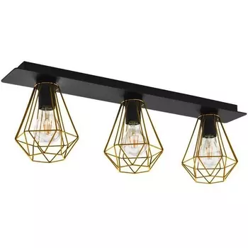 Потолочный светильник 2 Eglo Tarbes 43655