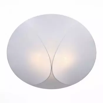 Потолочный светильник ST Luce TONICO SL360.552.04