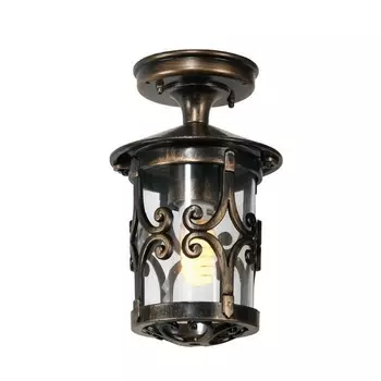 Потолочный светильник IP23 уличный 15855А Gb Oasis Light