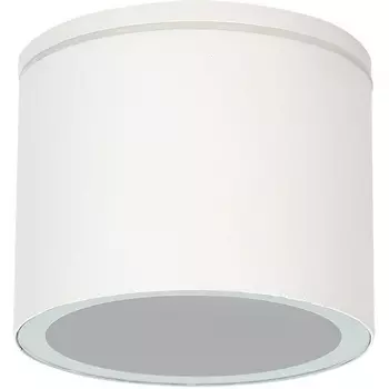 Потолочный светильник уличный IP54 Arte Lamp Piautos A1913PF-1WH