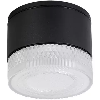 Потолочный светильник уличный Arte Lamp Piautos A1926PF-1BK