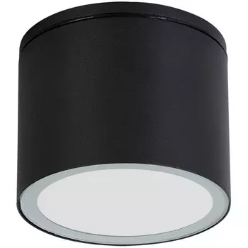Потолочный светильник уличный Arte Lamp Piautos A1913PF-1BK