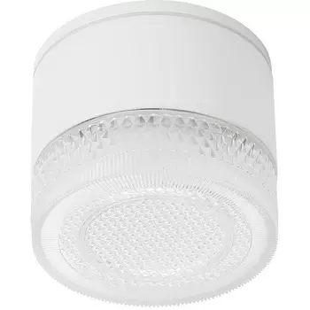 Потолочный светильник уличный IP54 Arte Lamp Piautos A1926PF-1WH