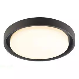 Потолочный светильник уличный Ascella 348067 (Deko-Light)