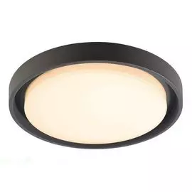 Потолочный светильник уличный IP54 LED Deko-Light Ascella 348069