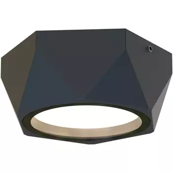 Потолочный светильник уличный IP54 Favourite Fantum 4670-1U