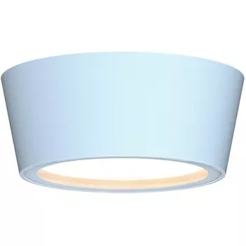 Потолочный светильник уличный IP54 Favourite Fantum 4676-1U