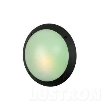 Потолочный светильник уличный IP66 Fumagalli Lucia 1R3.000.000.AYE27GN1