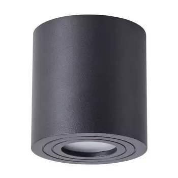 Потолочный светильник уличный IP44 Arte Lamp Galopin A1460PL-1BK