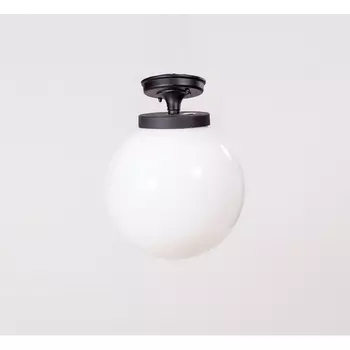 Потолочный светильник уличный IP44 Oasis Light GLOBO L 88205LA Bl в форме шара