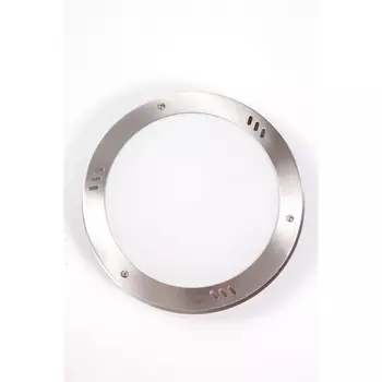 Потолочный светильник уличный Oasis Light 77809 SS