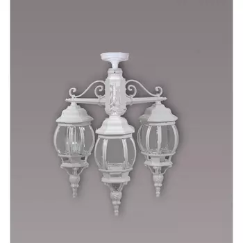 Потолочный светильник уличный Oasis Light AMERICA S 83470SA/3 W