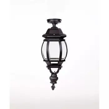 Потолочный светильник уличный IP44 Oasis Light AMERICA L 83405LA Bl в фиде фонаря