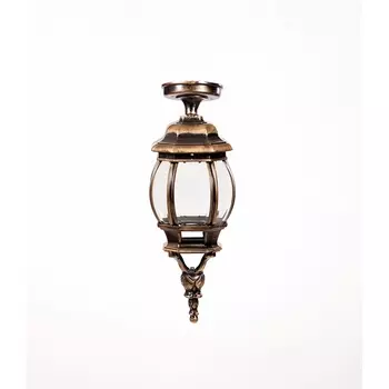 Потолочный светильник уличный IP44 Oasis Light AMERICA S 83405SA Gb в фиде фонаря