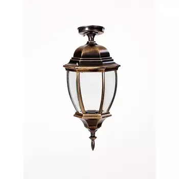 Потолочный светильник уличный Oasis Light ARSENAL L 91205LA Gb