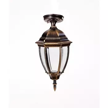 Потолочный светильник уличный IP44 Oasis Light ARSENAL S 91205SA Gb в фиде фонаря