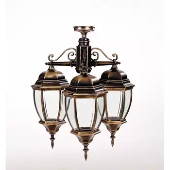 Потолочный светильник уличный Oasis Light ARSENAL L 91270LA/3 Gb