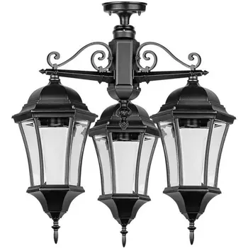 Потолочный светильник уличный Oasis Light ASTORIA 1 L 91370LA/3 cover Bl