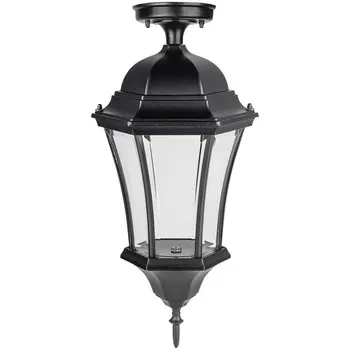 Потолочный светильник уличный Oasis Light ASTORIA 1 L 91305LA cover Bl